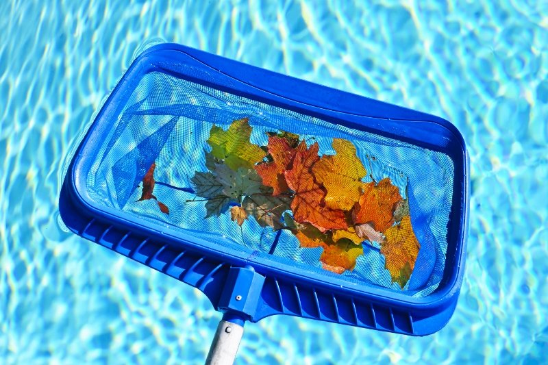 Skimming Your Pool's Surface & Cleaning the Strainer 